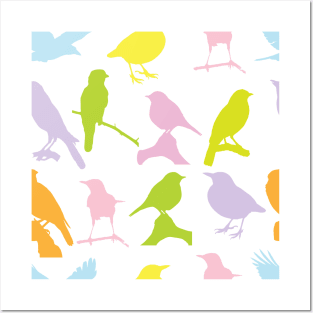 Bird Neck Gator Colorful Birds Bird Posters and Art